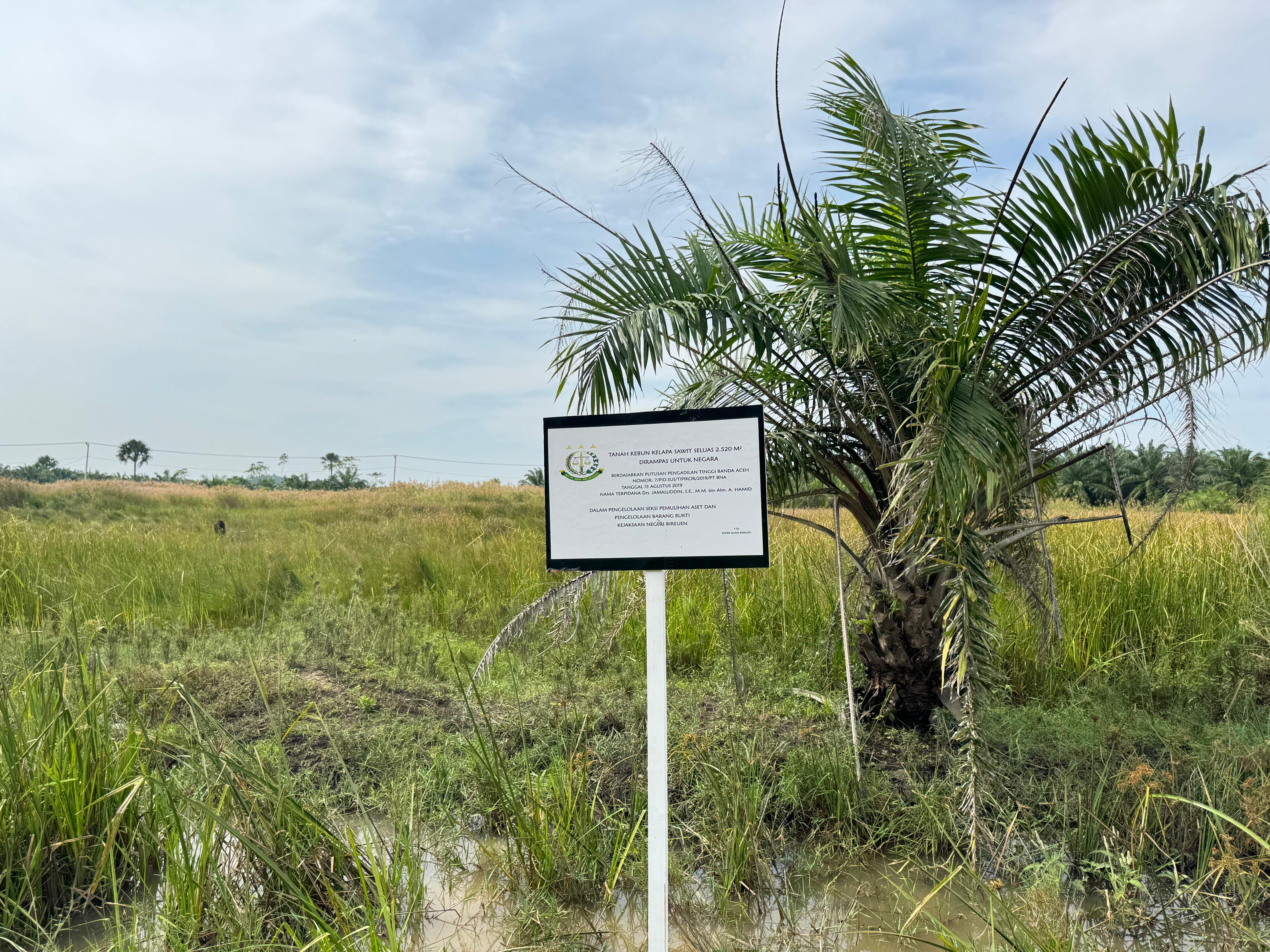 1 (satu) bidang tanah kebun kelapa sawit seluas 2.520 m2 yang terletak di Desa Cot Trieng  Kecamatan Muara Satu Kota Lhokseumawe sesuai Akta Jual Beli (AJB) No. : 031/Ms/2014 tanggal  20 Februari 2014 An Terpidana Drs. Jamaluddin, S.E., M.M. Bin Alm. A. H