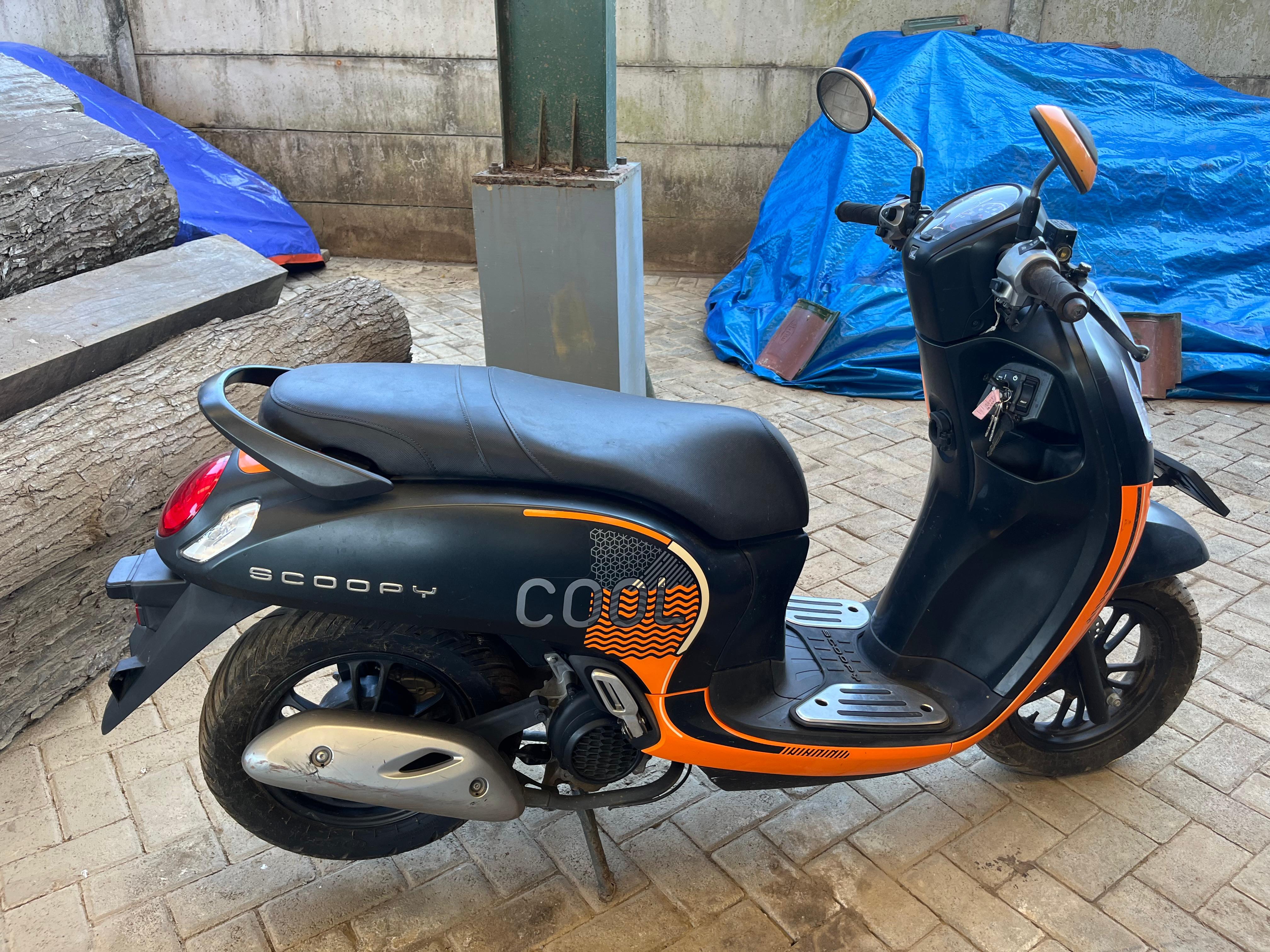 Sepeda Motor Honda Scoppy