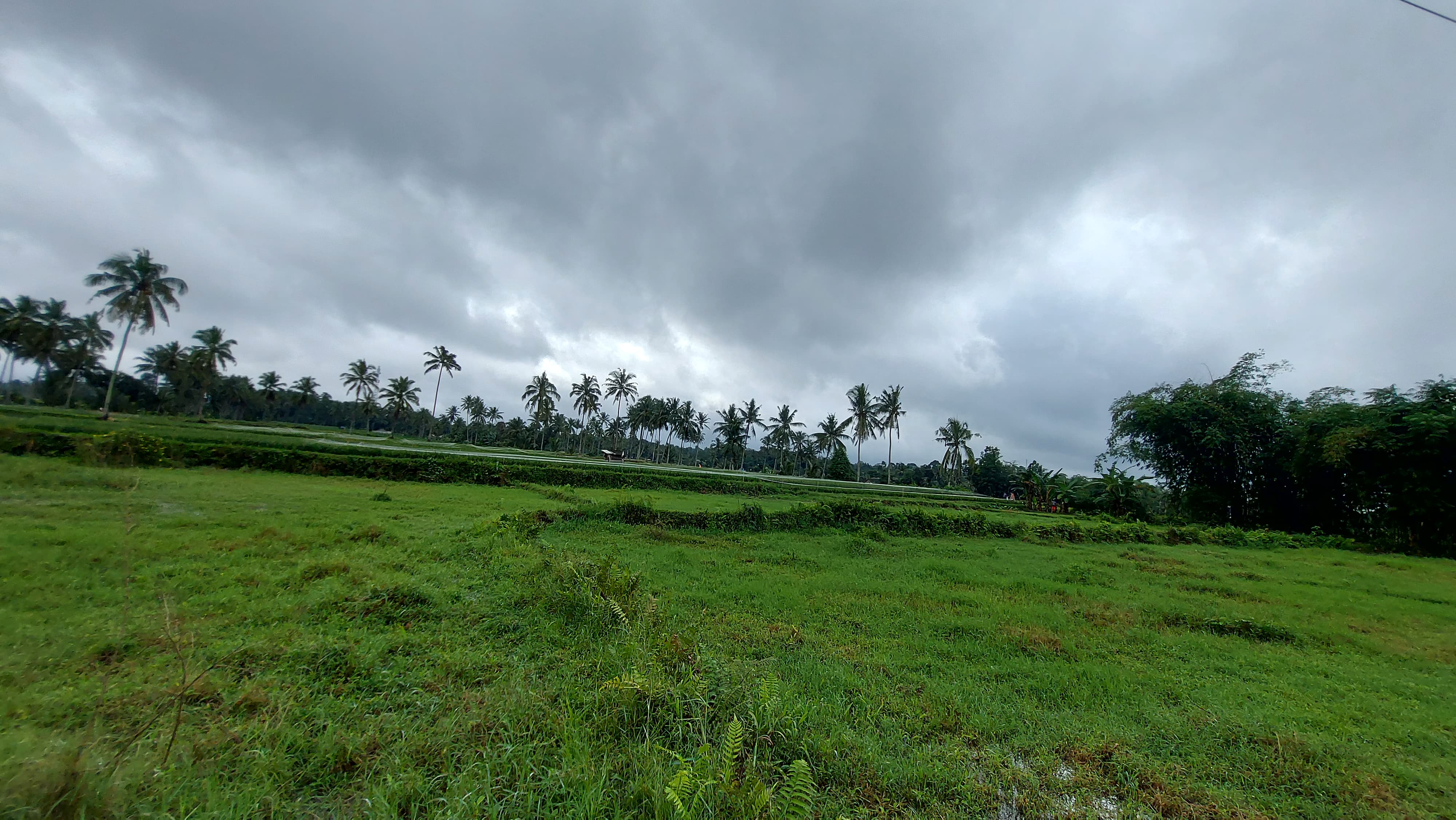 Sebidang tanah dalam SHM No. 1517 Luas 3585 m2 (tanpa SHM asli) 