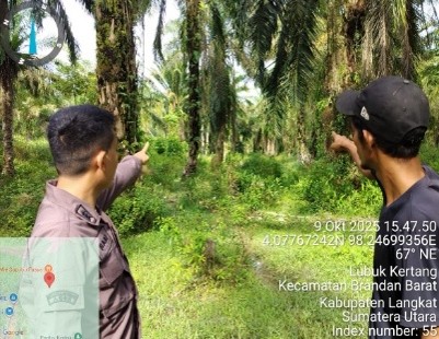 Kebun kelapa sawit yang terletak Dusun II Bakti, Desa Paya Tampak, Kecamatan Pangkalan Susu, Kabupaten Langkat. Dengan luas tanah±  1762,15 M2  atau 4,18 (Empat Koma Delapan Belas) rante, adapun kebun kelapa sawit tersebut diperoleh melalui ganti rugi dar