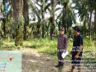 Sebidang tanah darat luas ± 16,623,11 M2