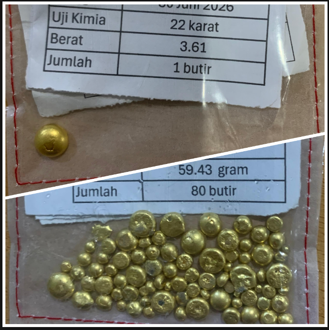 81 (delapan puluh satu) buah lempengen butiran emas berbagai ukuran dengan berat 63,04 gram