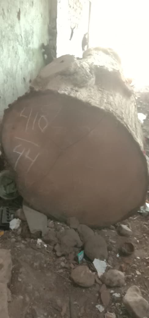 1 (satu) batang kayu jati berbentuk bulat / glondong dengan ukuran panjang 410 cm, diameter 44 cm, dan volume 0,62 m²; 