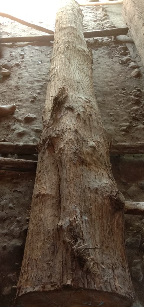 Detail Aset